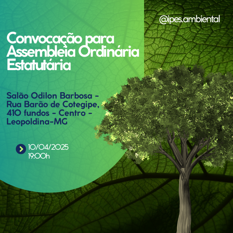 Post instagram licenciamento ambiental minimalista verde e branco